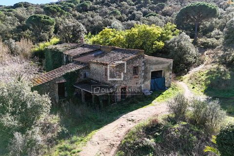 Landejendom i Calonge, Gerona, Calonge - € 890.000 | Ref: PDA66104 - foto 2