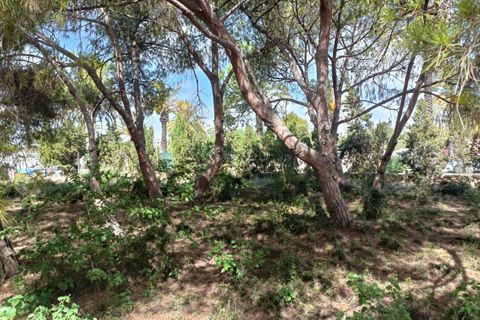 Helårsgrund i Cabo Roig, Alicante, Cabo Roig - € 1.100.000 | Ref: AG19MLSC7966977 - foto 4