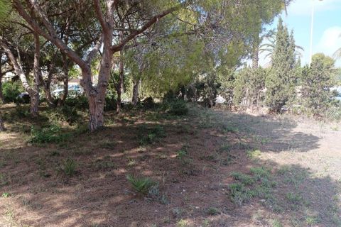 Helårsgrund i Cabo Roig, Alicante, Cabo Roig - € 1.100.000 | Ref: AG19MLSC7966977 - foto 6