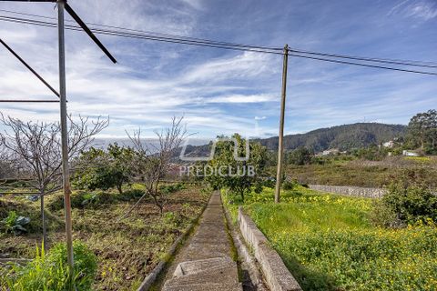 Villa i Camara de Lobos, Madeira, Camara de Lobos - € 300.000 | Ref: 11947-BA - foto 5