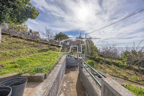 Villa i Camara de Lobos, Madeira, Camara de Lobos - € 300.000 | Ref: 11947-BA - foto 7