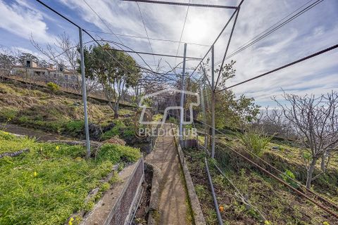 Villa i Camara de Lobos, Madeira, Camara de Lobos - € 300.000 | Ref: 11947-BA - foto 8