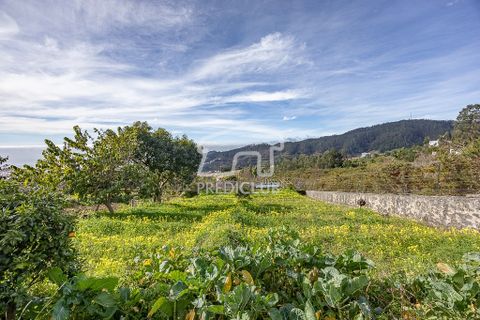Villa i Camara de Lobos, Madeira, Camara de Lobos - € 300.000 | Ref: 11947-BA - foto 9