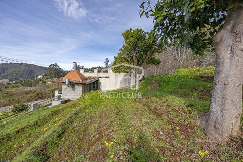 Villa i Camara de Lobos, Madeira, Camara de Lobos - € 300.000 | Ref: 11947-BA - foto 10