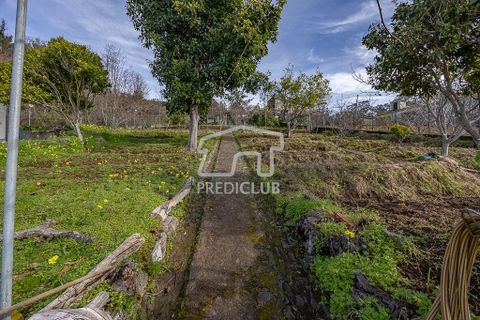 Villa i Camara de Lobos, Madeira, Camara de Lobos - € 300.000 | Ref: 11947-BA - foto 11