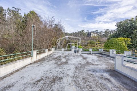 Villa i Camara de Lobos, Madeira, Camara de Lobos - € 300.000 | Ref: 11947-BA - foto 15