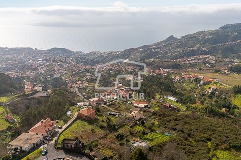 Villa i Camara de Lobos, Madeira, Camara de Lobos - € 300.000 | Ref: 11947-BA - foto 22