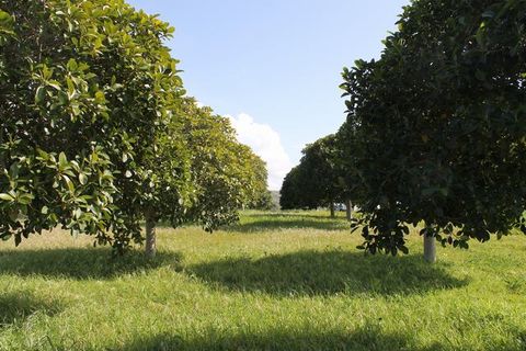 Terra a Siculiana, Agrigento, Siculiana - € 200.000 | Ref: Land Casola - foto 19