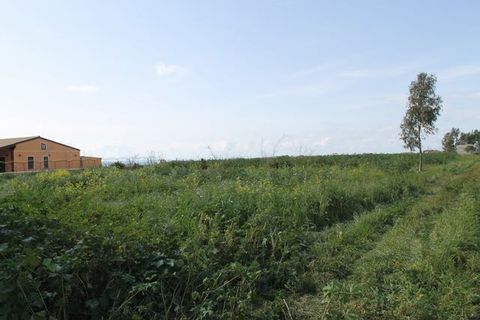 Terra a Siculiana, Agrigento, Siculiana - € 200.000 | Ref: Land Casola - foto 11