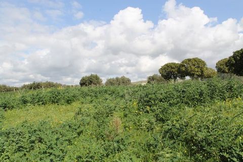 Terra a Siculiana, Agrigento, Siculiana - € 200.000 | Ref: Land Casola - foto 15