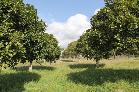 Terra a Siculiana, Agrigento, Siculiana - € 200.000 | Ref: Land Casola - foto 20
