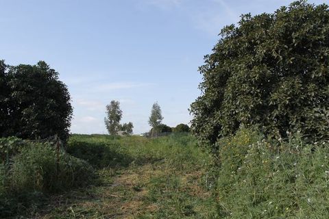 Terra a Siculiana, Agrigento, Siculiana - € 200.000 | Ref: Land Casola - foto 10