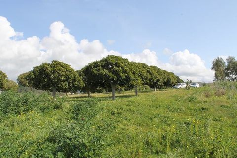 Terra a Siculiana, Agrigento, Siculiana - € 200.000 | Ref: Land Casola - foto 14