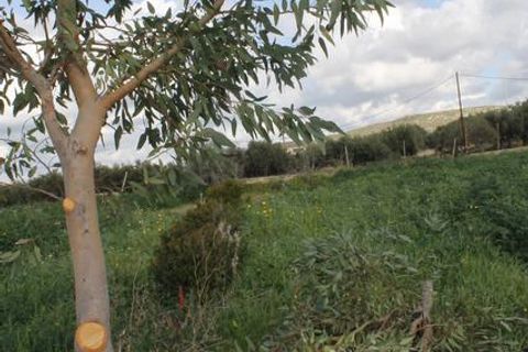 Terra a Siculiana, Agrigento, Siculiana - € 200.000 | Ref: Land Casola - foto 5