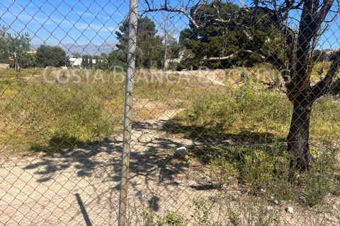 Tomt i Benidorm, Alicante, Benidorm - € 750 000 | Ref: S-4390/13675 - foto 15