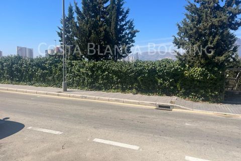 Tomt i Benidorm, Alicante, Benidorm - € 750 000 | Ref: S-4390/13675 - foto 16