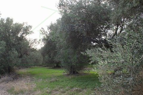 Landejendom i Realmonte, Agrigento, Realmonte - € 1.200.000 | Ref: Rina Realmonte - foto 3
