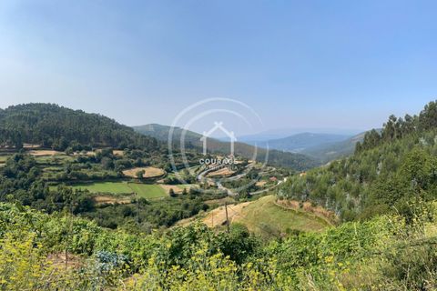 Villa i Ponte de Lima, Viana do Castelo, Ponte de Lima - € 350.000 | Ref: CD0013 - foto 45