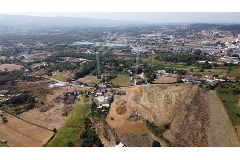 Terra a Turquel, Leiria, Turquel - € 100.000 | Ref: TE1564 - foto 2