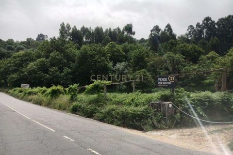 Villa i Ponte de Lima, Viana do Castelo, Ponte de Lima - € 520.000 | Ref: C0437-00043 - foto 1