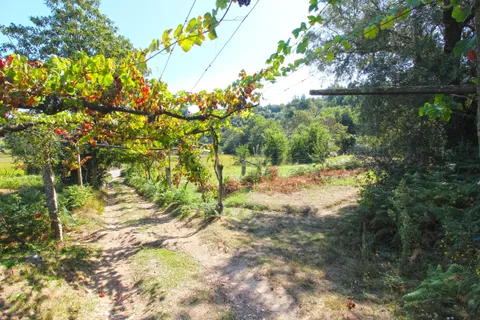 Villa i Ponte de Lima, Viana do Castelo, Ponte de Lima - € 520.000 | Ref: C0437-00043 - foto 5