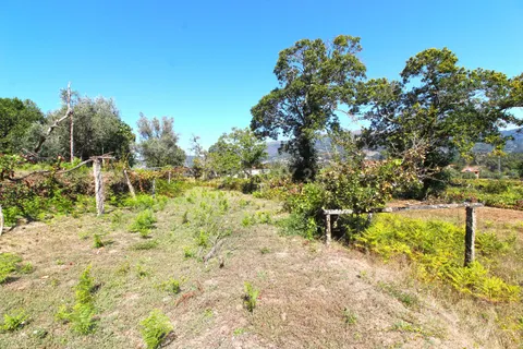 Villa i Ponte de Lima, Viana do Castelo, Ponte de Lima - € 520.000 | Ref: C0437-00043 - foto 8
