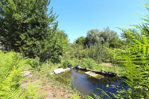 Villa i Ponte de Lima, Viana do Castelo, Ponte de Lima - € 520.000 | Ref: C0437-00043 - foto 11