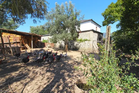 Villa i Ponte de Lima, Viana do Castelo, Ponte de Lima - € 520.000 | Ref: C0437-00043 - foto 13