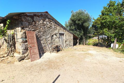 Villa i Ponte de Lima, Viana do Castelo, Ponte de Lima - € 520.000 | Ref: C0437-00043 - foto 15