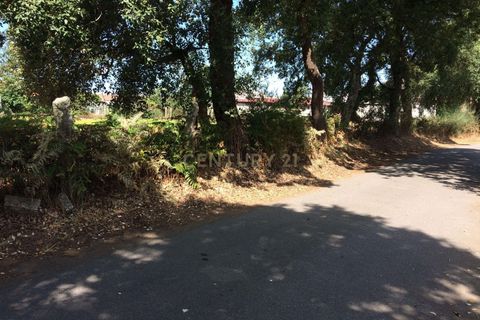 Helårsgrund i Valenca, Viana do Castelo, Valenca - € 50.000 | Ref: C0437-00012 - foto 8