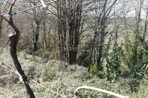 Helårsgrund i Valenca, Viana do Castelo, Valenca - € 78.000 | Ref: C0437-00142 - foto 2