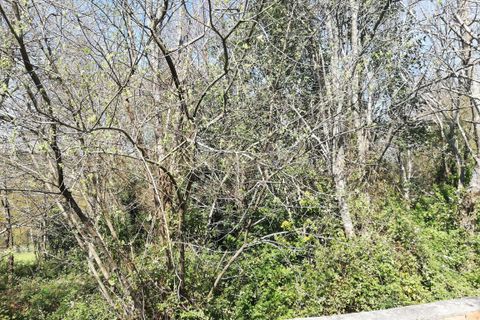 Helårsgrund i Valenca, Viana do Castelo, Valenca - € 78.000 | Ref: C0437-00142 - foto 4