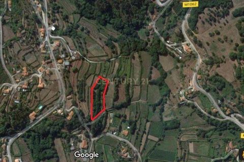 Helårsgrund i Valenca, Viana do Castelo, Valenca - € 78.000 | Ref: C0437-00142 - foto 8