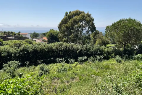 Helårsgrund i Caminha, Viana do Castelo, Caminha - € 110.000 | Ref: C0437-00394 - foto 6