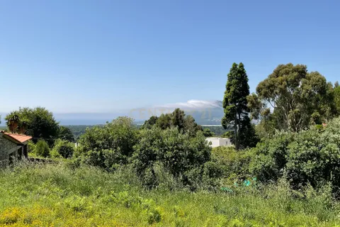 Helårsgrund i Caminha, Viana do Castelo, Caminha - € 110.000 | Ref: C0437-00394 - foto 7