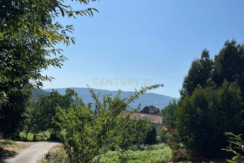 Helårsgrund i Ponte de Lima, Viana do Castelo, Ponte de Lima - € 42.000 | Ref: C0437-00405 - foto 2