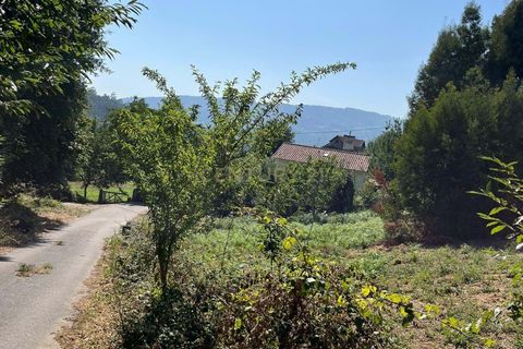 Helårsgrund i Ponte de Lima, Viana do Castelo, Ponte de Lima - € 42.000 | Ref: C0437-00405 - foto 3