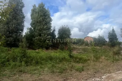 Helårsgrund i Ponte de Lima, Viana do Castelo, Ponte de Lima - € 42.000 | Ref: C0437-00405 - foto 5