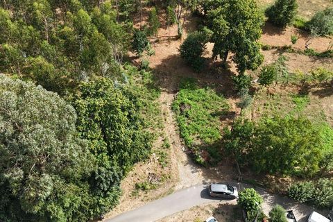 Helårsgrund i Ponte de Lima, Viana do Castelo, Ponte de Lima - € 29.000 | Ref: C0437-00404 - foto 1