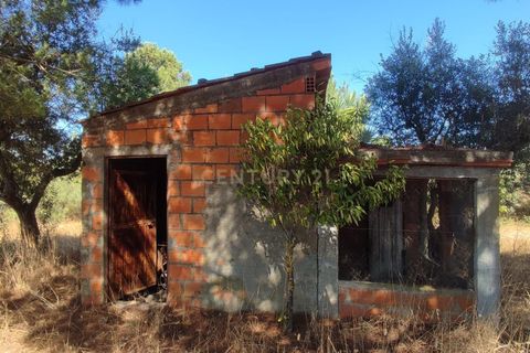 Helårsgrund i Castelo Branco, Castelo Branco, Castelo Branco - € 16.500 | Ref: C0434-01097 - foto 3