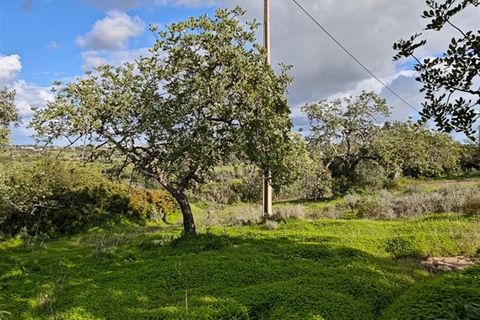 Helårsgrund i Albufeira, Faro, Albufeira - € 300.000 | Ref: VJM-1803 - foto 6