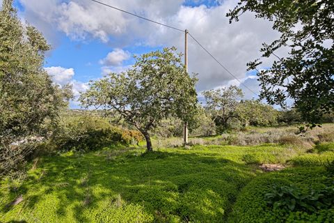 Helårsgrund i Albufeira, Faro, Albufeira - € 300.000 | Ref: VJM-1803 - foto 7