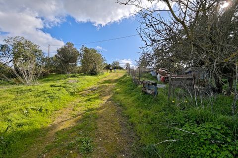 Helårsgrund i Albufeira, Faro, Albufeira - € 300.000 | Ref: VJM-1803 - foto 12