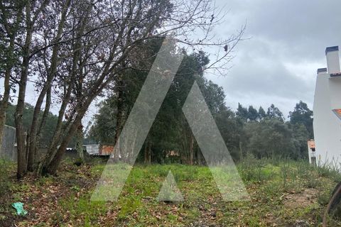Terra a Fermentelos, Aveiro, Fermentelos - € 49.500 | Ref: 1051389/26 OB - foto 2