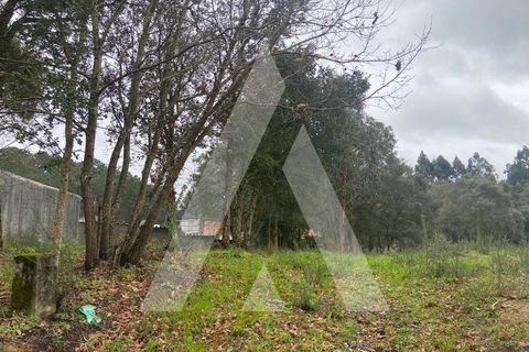 Terra a Fermentelos, Aveiro, Fermentelos - € 49.500 | Ref: 1051389/26 OB - foto 5