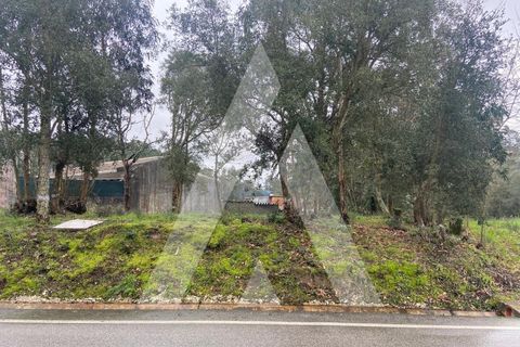 Terra a Fermentelos, Aveiro, Fermentelos - € 49.500 | Ref: 1051389/26 OB - foto 6