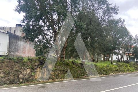Terra a Fermentelos, Aveiro, Fermentelos - € 49.500 | Ref: 1051389/26 OB - foto 8