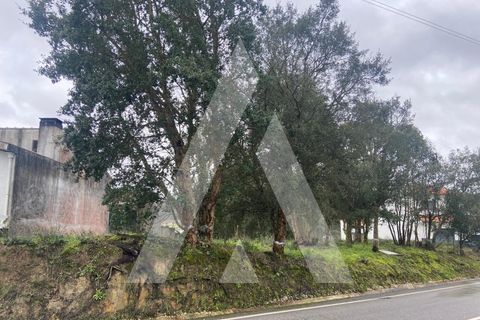 Terra a Fermentelos, Aveiro, Fermentelos - € 49.500 | Ref: 1051389/26 OB - foto 9