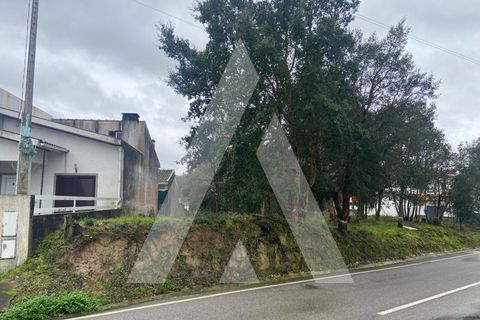 Terra a Fermentelos, Aveiro, Fermentelos - € 49.500 | Ref: 1051389/26 OB - foto 10