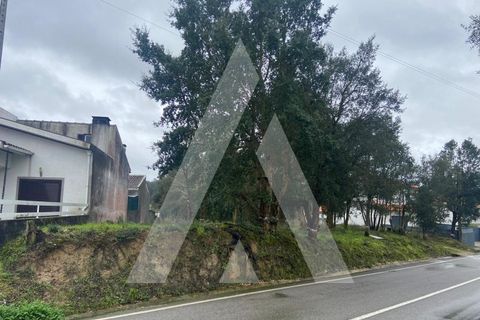 Terra a Fermentelos, Aveiro, Fermentelos - € 49.500 | Ref: 1051389/26 OB - foto 12